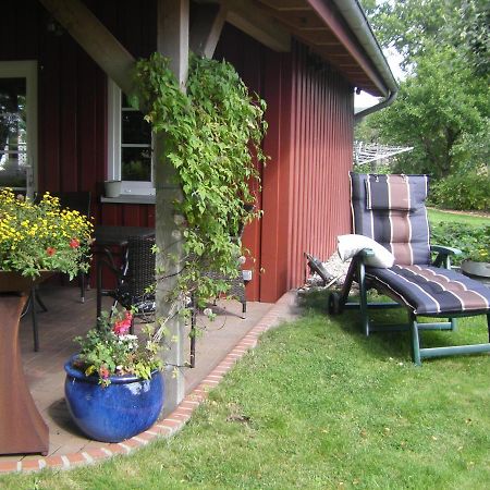 Ferienhaus Staben Eggstedt 외부 사진
